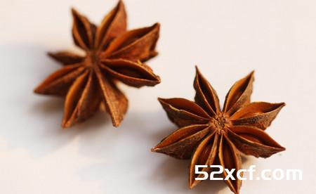 大茴香的功效与作用