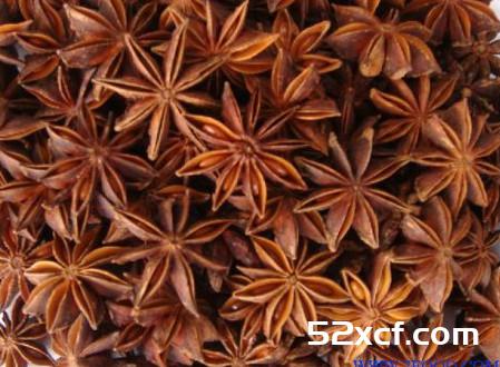 大茴香的功效与作用