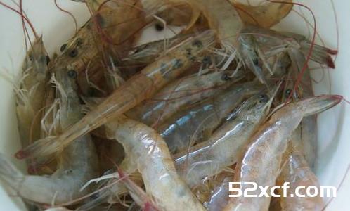 吮指香辣虾的家常做法