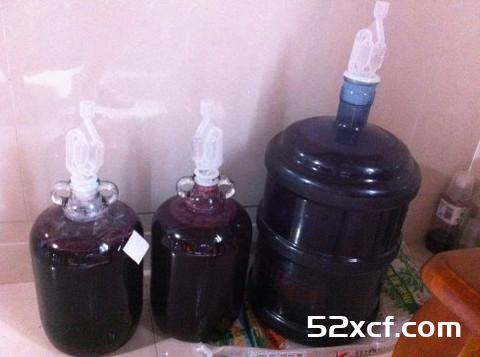 在家怎么做桑葚酒酿