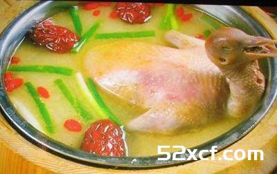 产妇鸽子汤怎么做