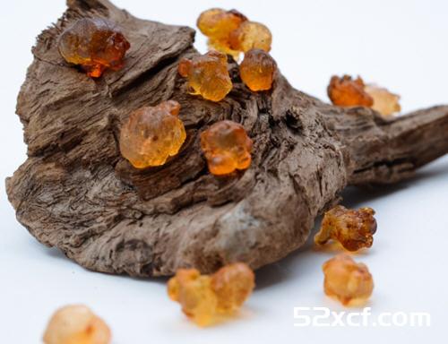 桃胶可以天天吃吗？桃胶为什么不能天天吃