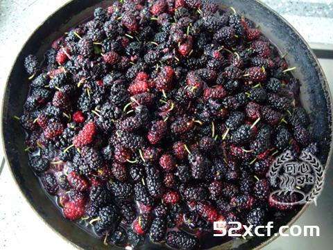 桑葚果酱怎么制作