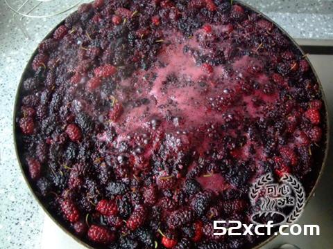 桑葚果酱怎么制作