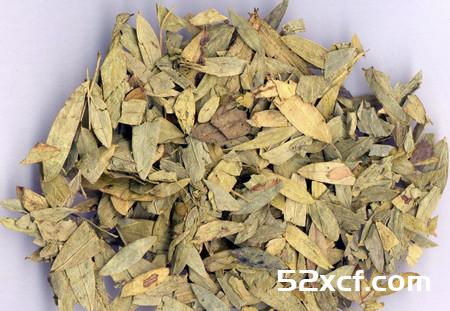 番泻叶的功效与作用