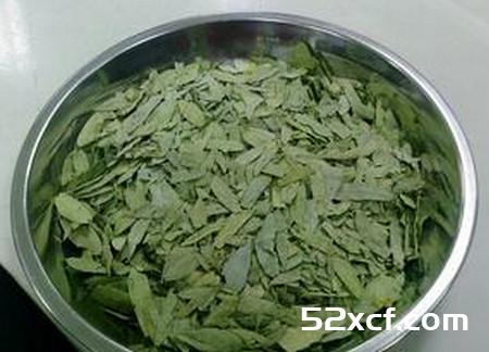番泻叶的功效与作用