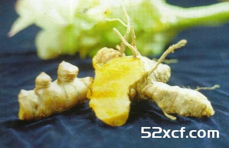 姜黄的功效与作用