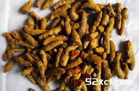 姜黄的功效与作用
