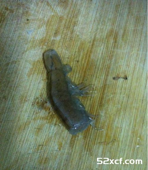 明虾去虾线的方法图解