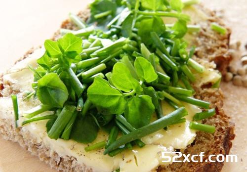 生活中常见蔬菜英语单词对照表