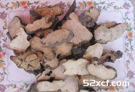 猪苓的功效与作用