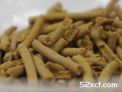 彝家山寨黑苦荞芦丁香茶的