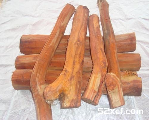 苏木的功效与作用及食用方法