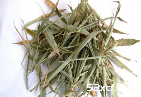 淡竹叶的功效与作用