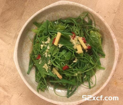 油泼龙须菜的做法