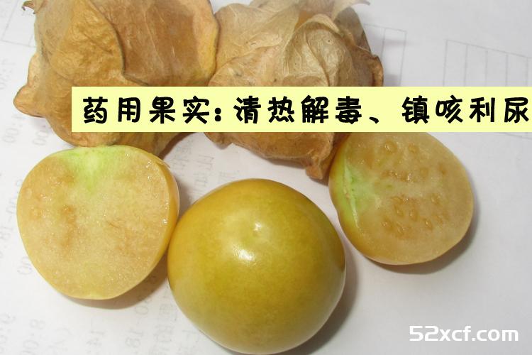 姑娘果的营养价值