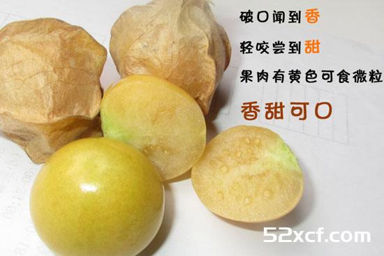 姑娘果的营养价值