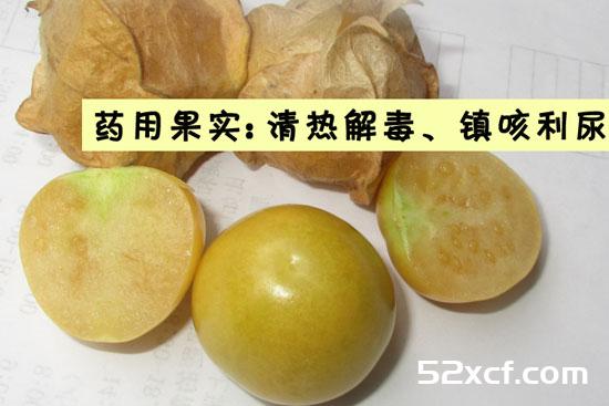 姑娘果的营养价值