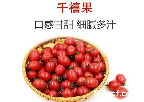 千禧果的营养价值