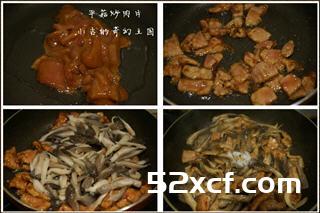 平菇炒肉片的做法