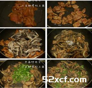 平菇炒肉片的做法