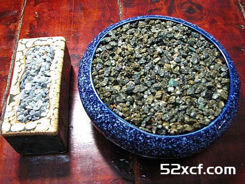 荔枝盆栽种植方法图文教程