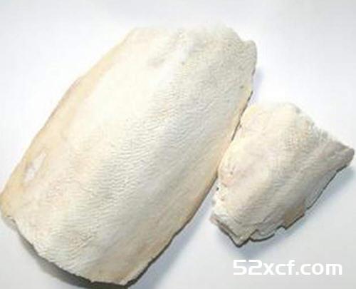 乌贼骨的功效与作用及食用方法