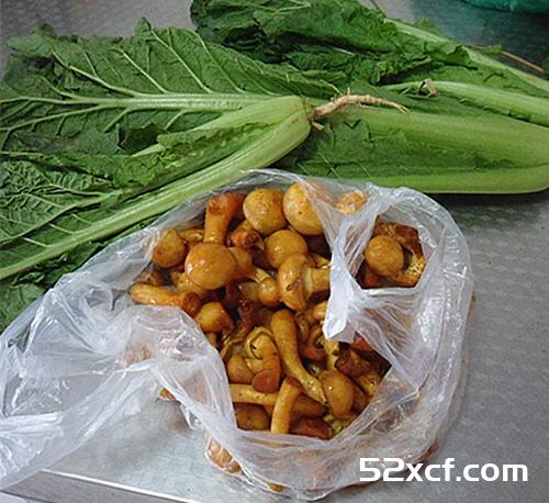 小白菜烩蘑菇的做法