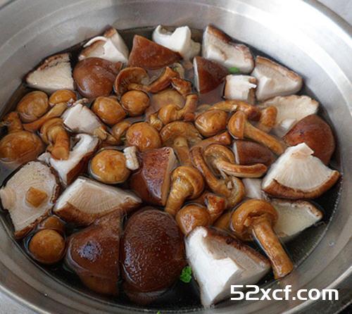 小白菜烩蘑菇的做法