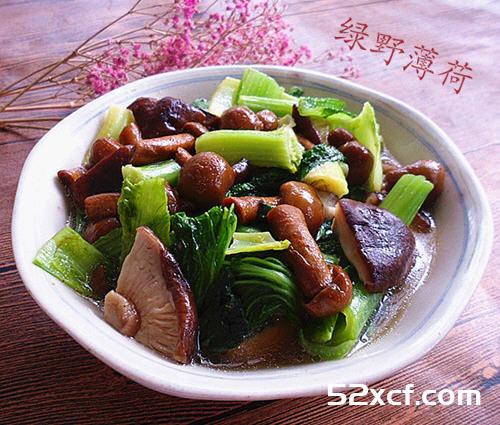 小白菜烩蘑菇的做法