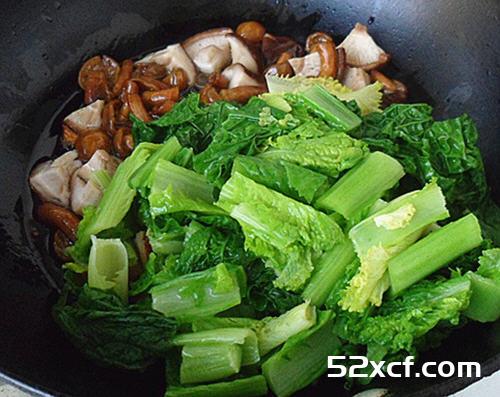 小白菜烩蘑菇的做法