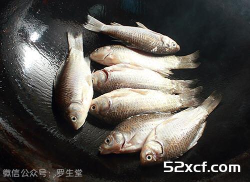 炖野生小鲫鱼汤的做法