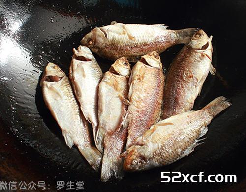 炖野生小鲫鱼汤的做法