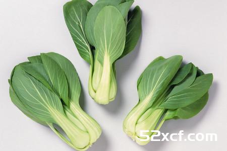 青菜的功效与作用