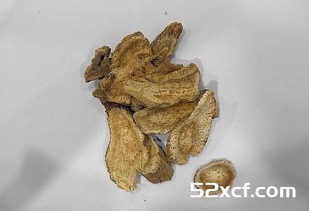 青木香的功效与作用