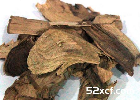 青木香的功效与作用