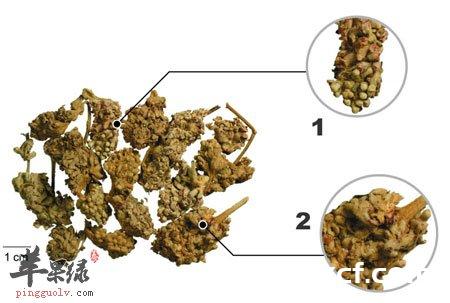 密蒙花的功效与作用及禁忌