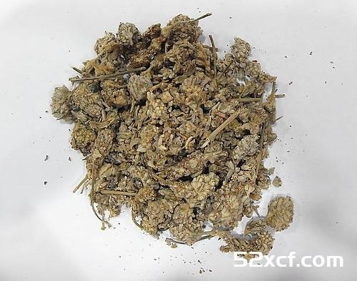 密蒙花的功效与作用及禁忌