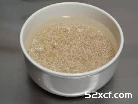 铁锅蒸藜麦饭的做法