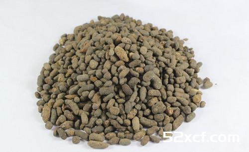 五灵脂的功效与作用