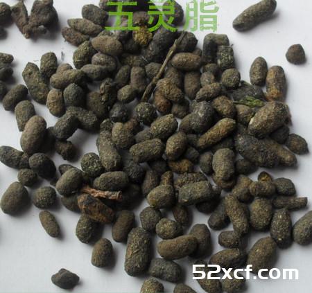 五灵脂的功效与作用
