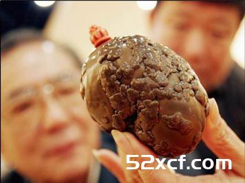 狗宝的作用与功效