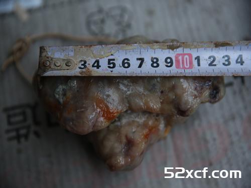 狗宝的作用与功效