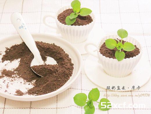 蓝莓酸奶盆栽的做法