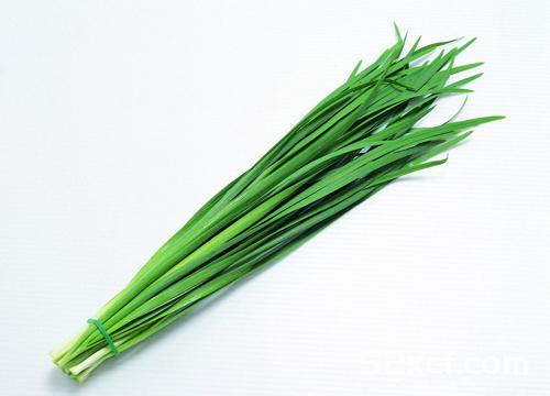 胖子吃什么菜好？肥胖的人吃哪些菜能减肥