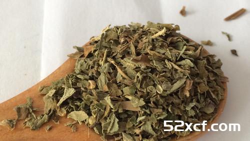 九层塔的功效与作用