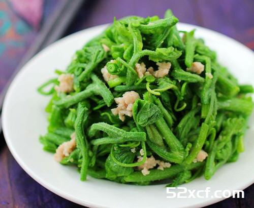 肉末爆炒南瓜藤的做法