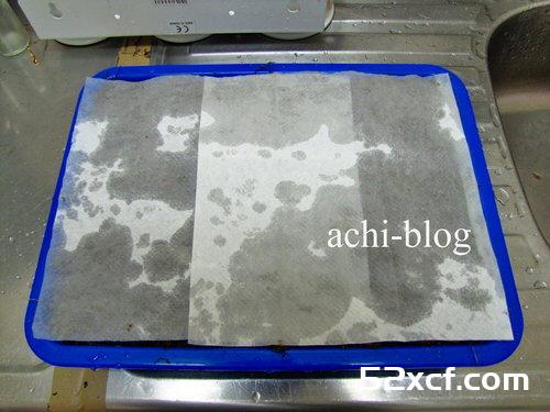 青刚栎种子盆栽种植方法图解