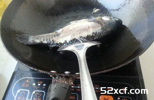 兽兽怀孕身材火辣曝光孕期饮食秘籍