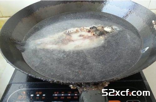 兽兽怀孕身材火辣曝光孕期饮食秘籍